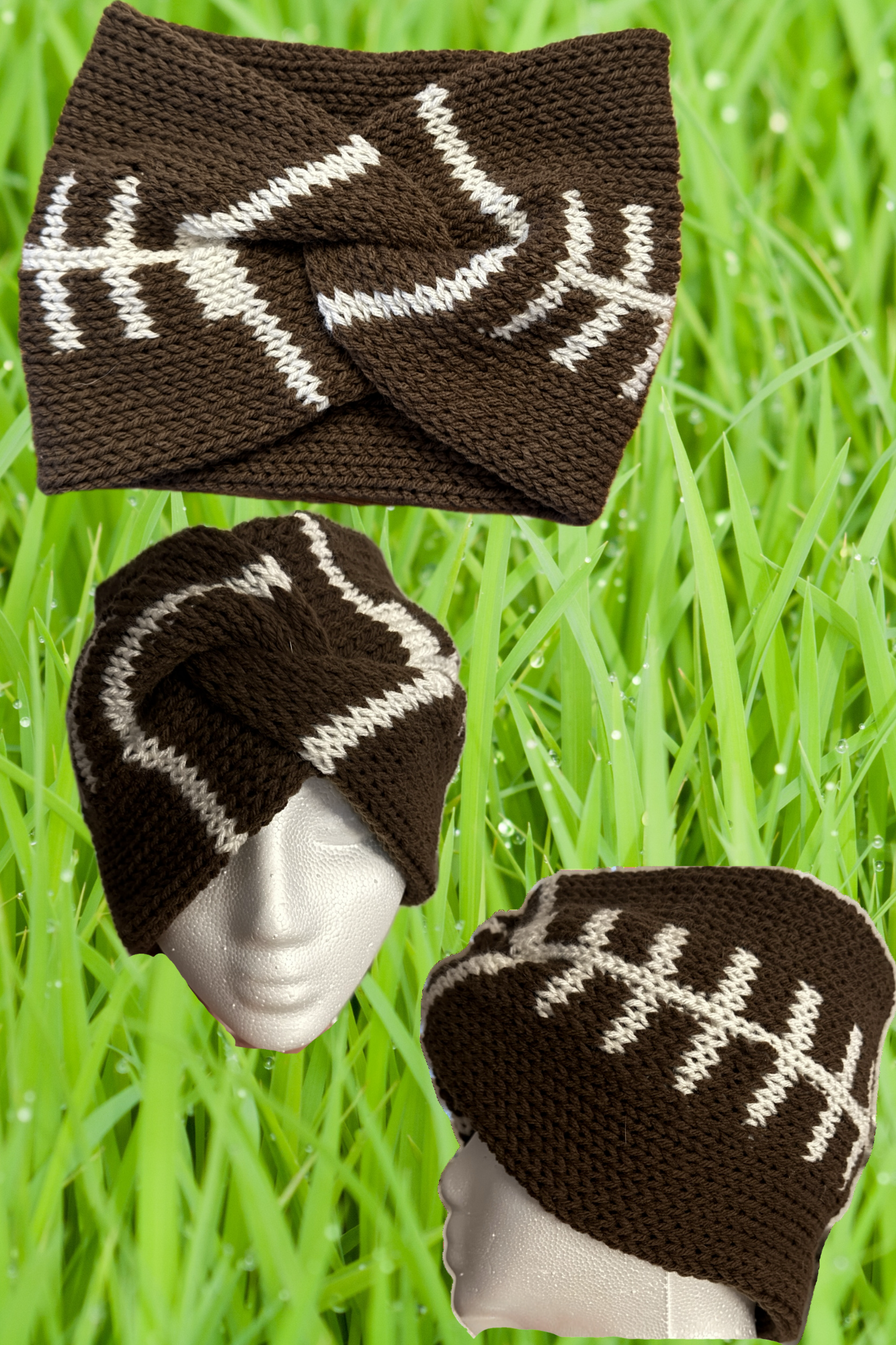 Winter Hat/Ear warmers